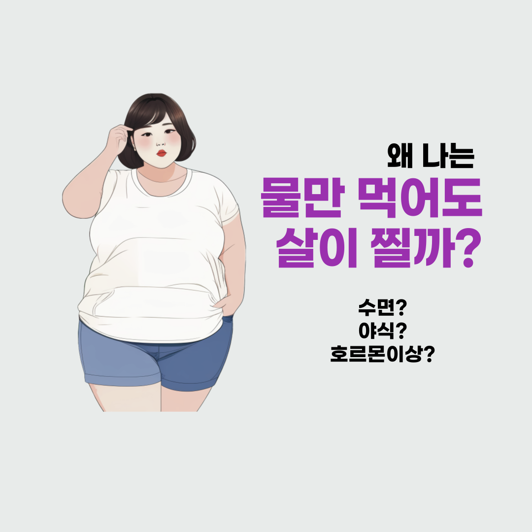 물만 먹어도 살찌는 체질