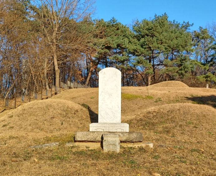 정유선생묘