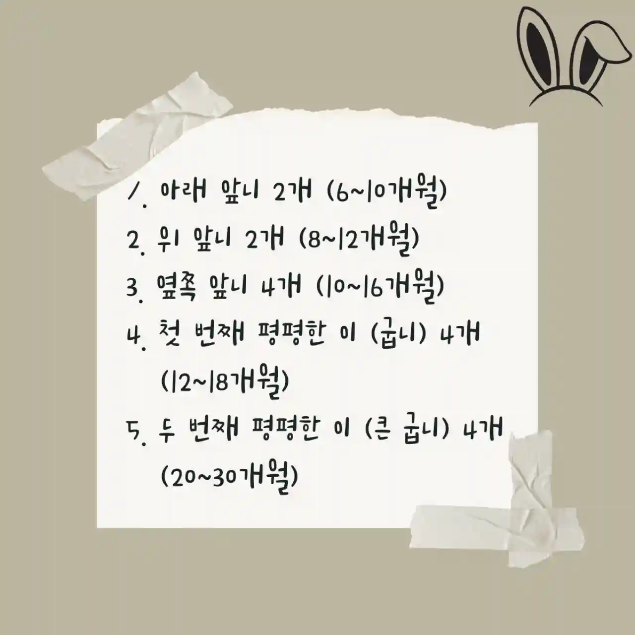 유치 처음 나오는 시기