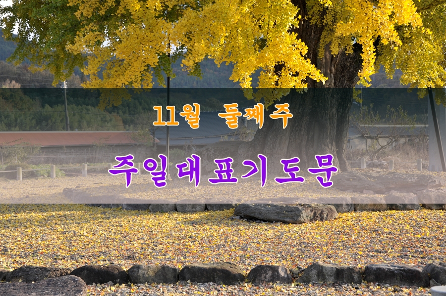 11월 둘째주 대표기도문
