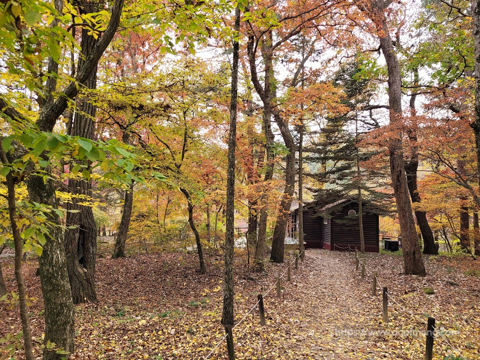 단풍 속 오두막