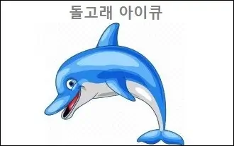돌고래 아이큐