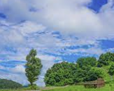 ESTJ 유형 특징 분석