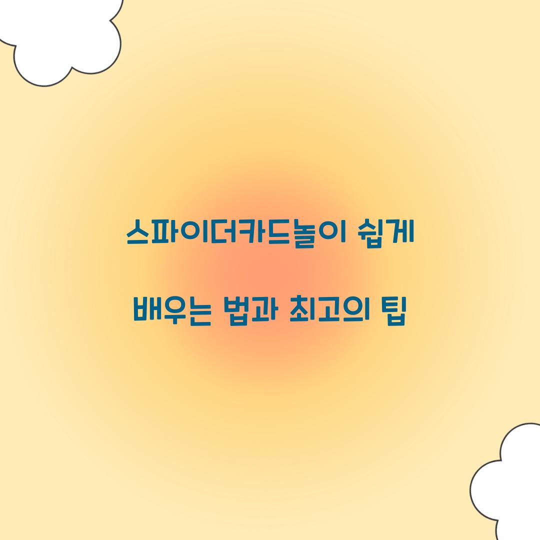 스파이더카드놀이
