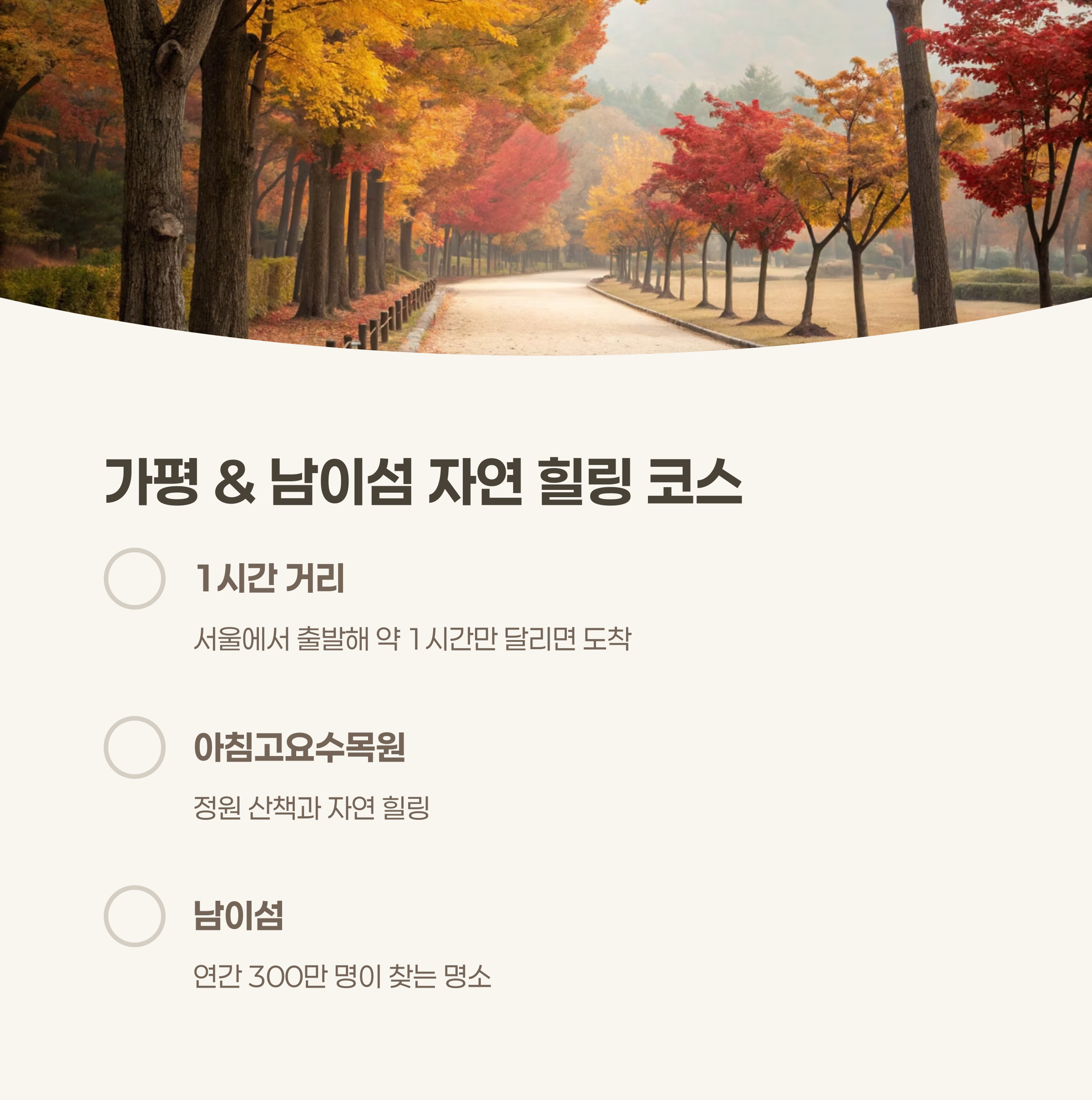 가평 &amp; 남이섬 자연 힐링 코스