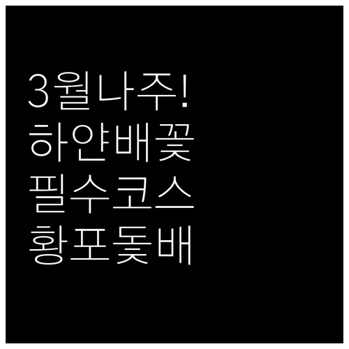 전남 나주 가볼만한곳 3월에 꼭 가야..