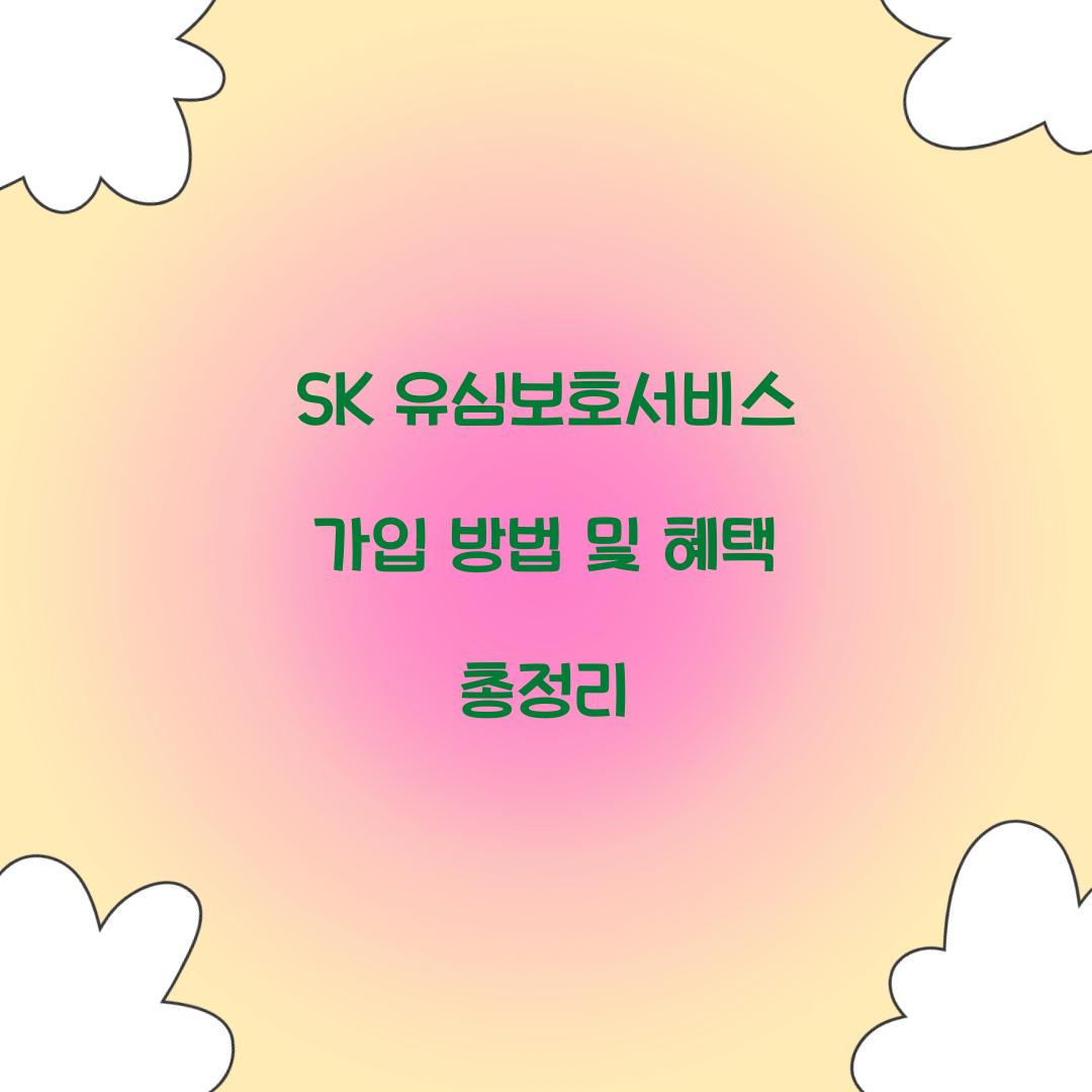 SK 유심보호서비스 가입