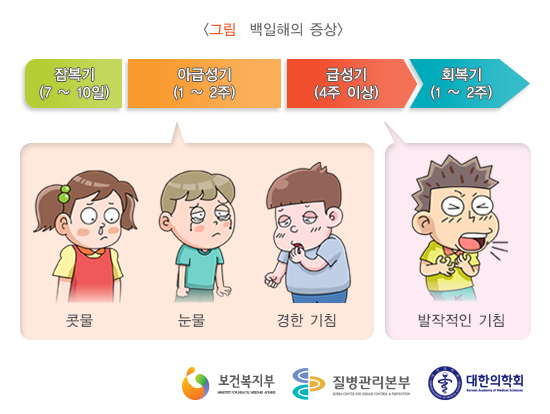 백일해 예방접종 시기 가격, 백일해 증상 치료 예방(+최저가 병원 찾기)