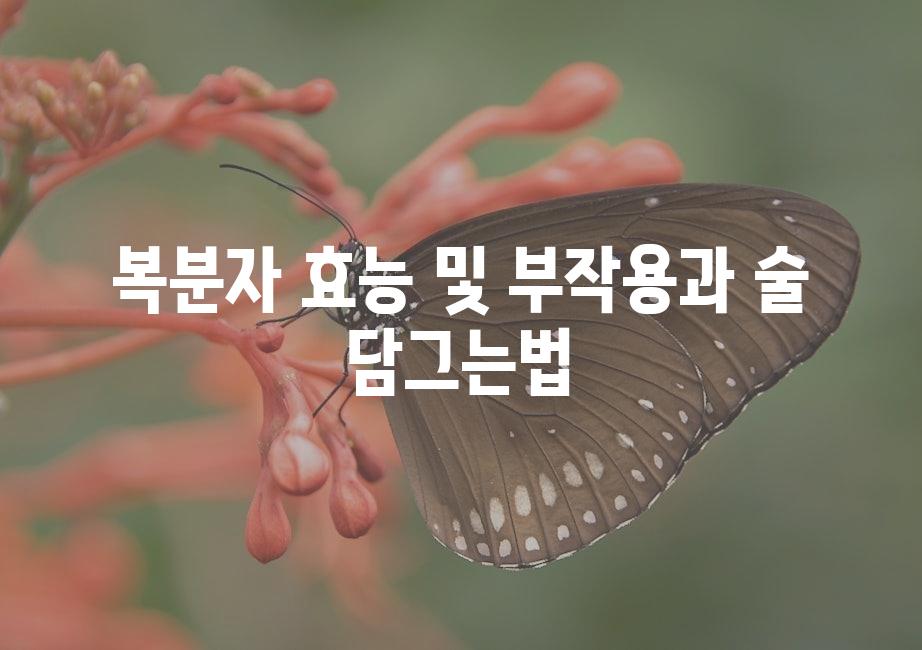 샘플 (51)