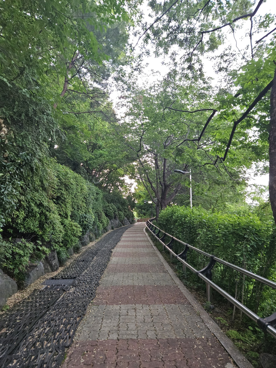 서울특별시 동작구 사당동 삼일공원 삼일운동 독립운동 기념비 유관순 열사 산책할만한곳 동네 공원 러닝 산책 배드민턴