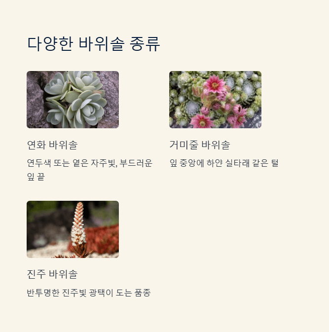 바위솔 종류