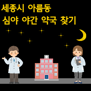 세종시 아름동 심야 야간 약국 찾기