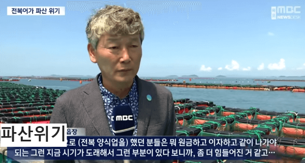 전복값 하락