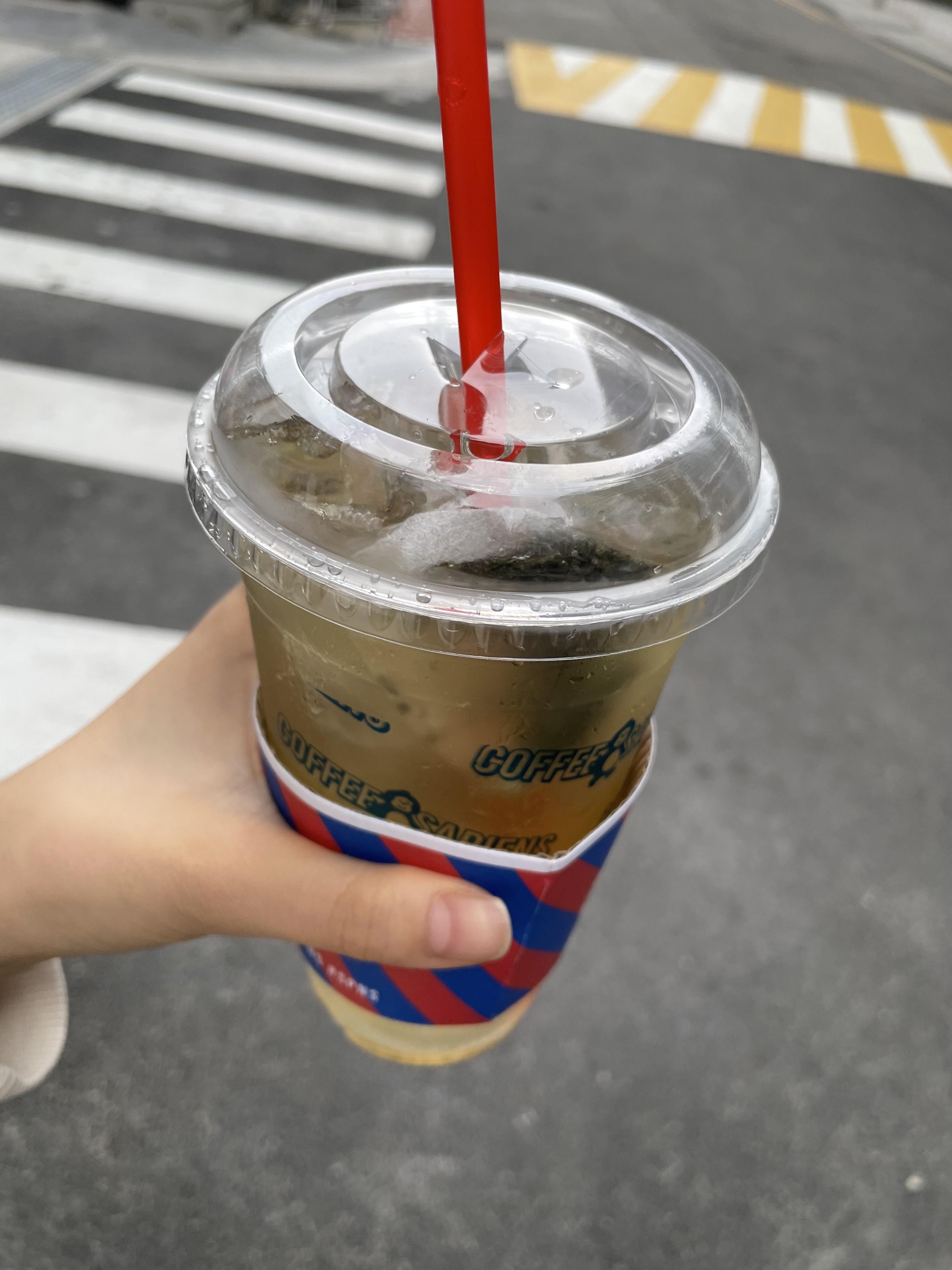 꿀페퍼민트