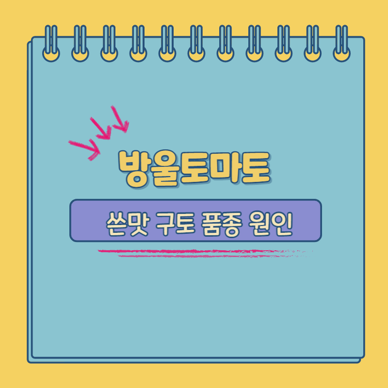 방울토마토 구토 품종 원인