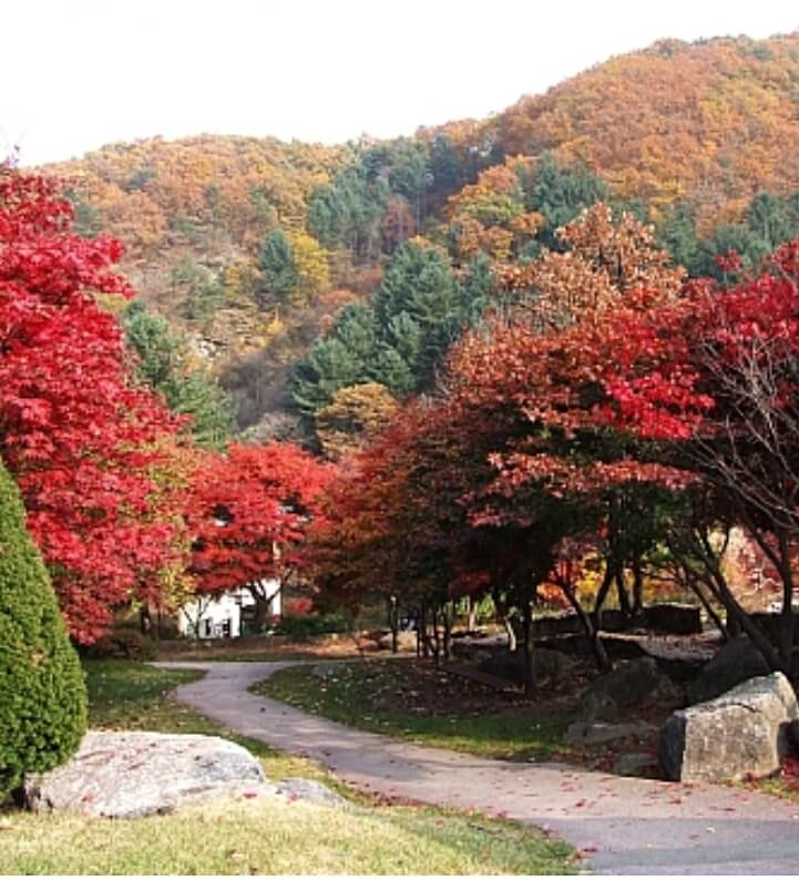 가을 단풍 명소 여행 추천