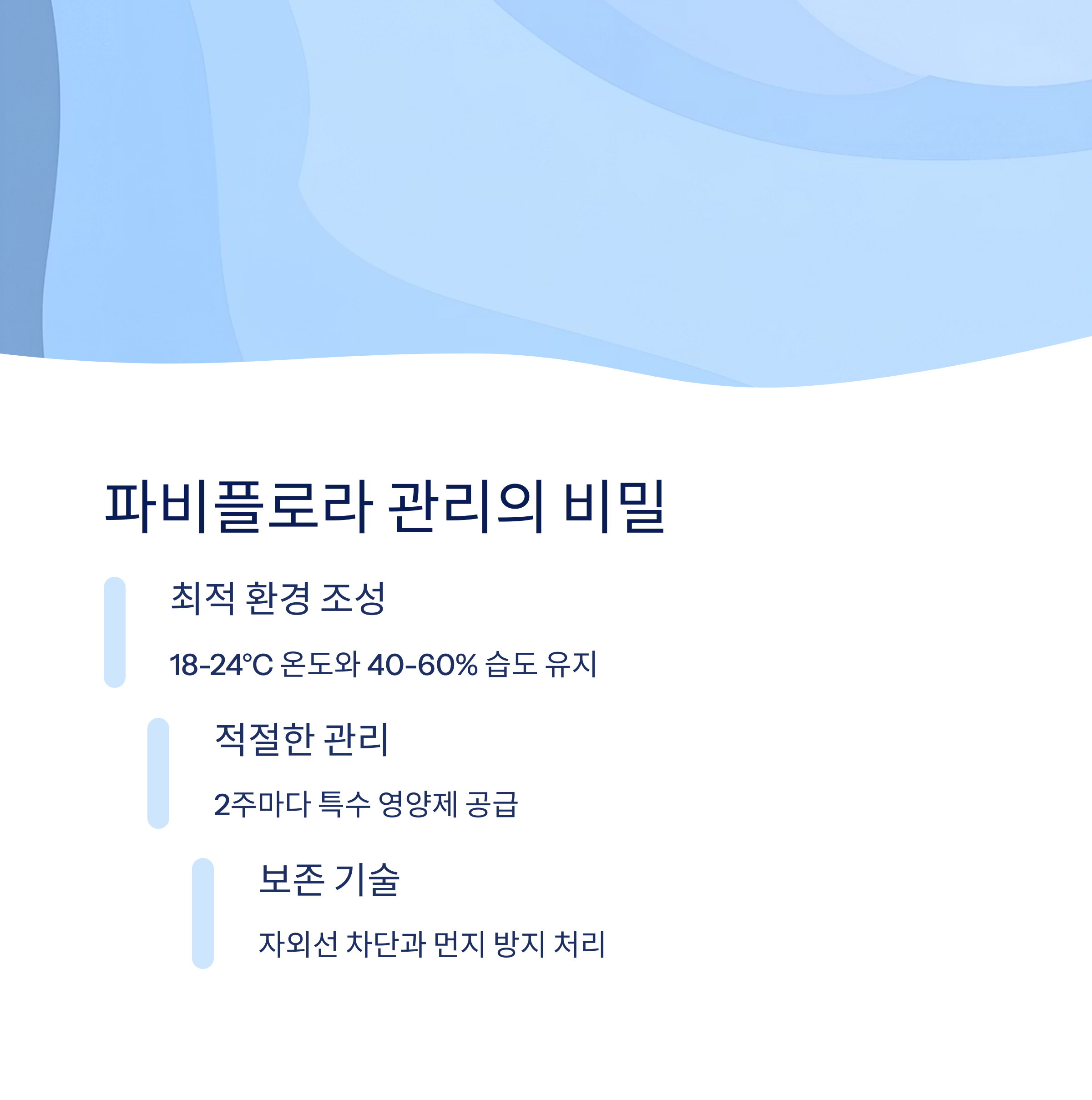 파비플로라 관리 방법