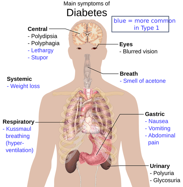 건강한 간식 습관으로 당뇨 합병증 예방하기