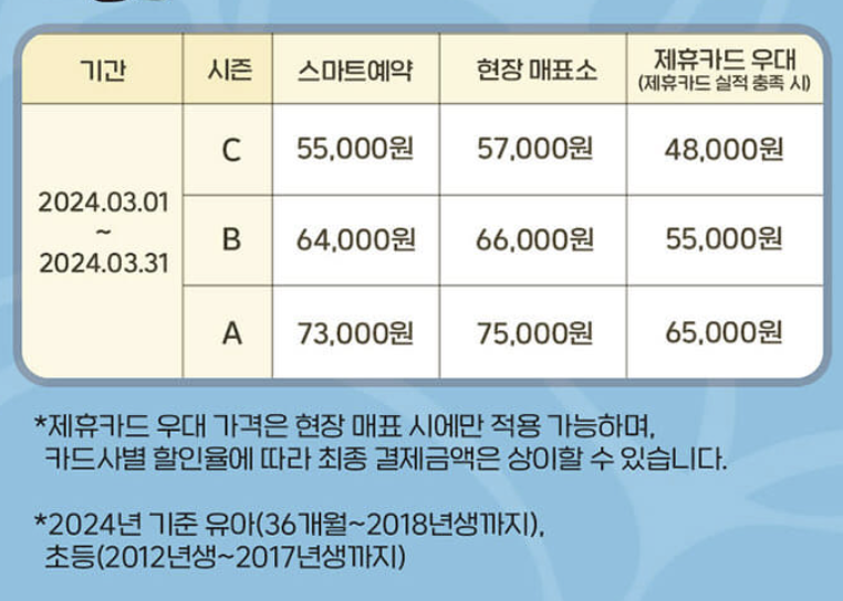 에버랜드 패키지 할인