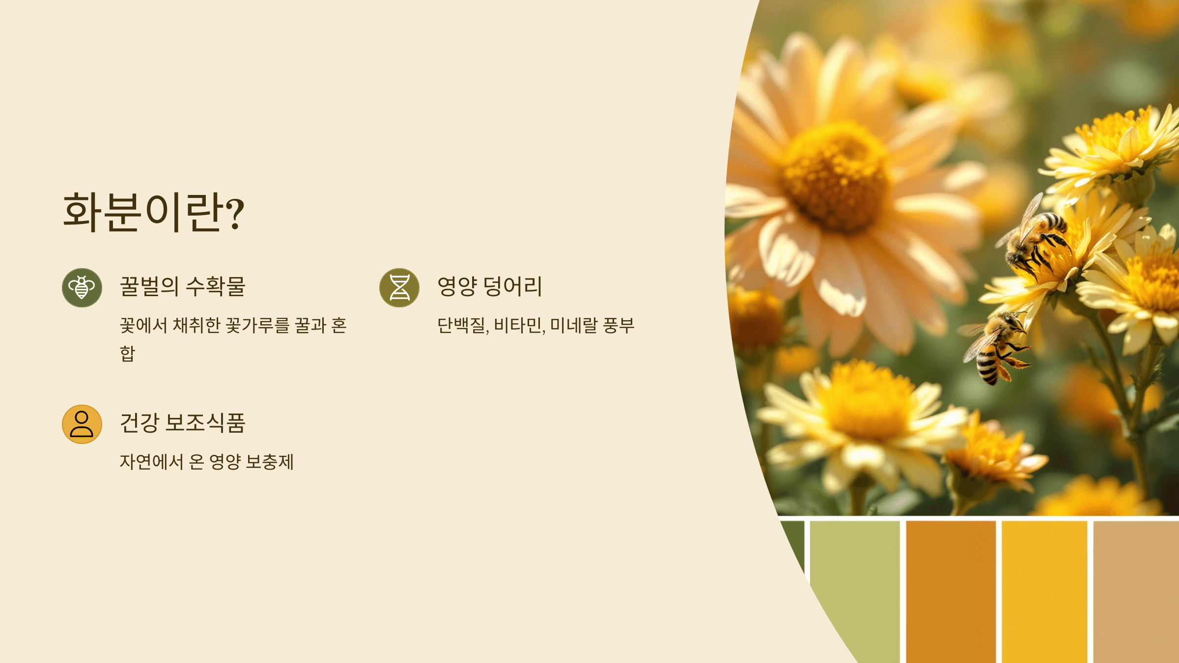 화분 사진입니다.