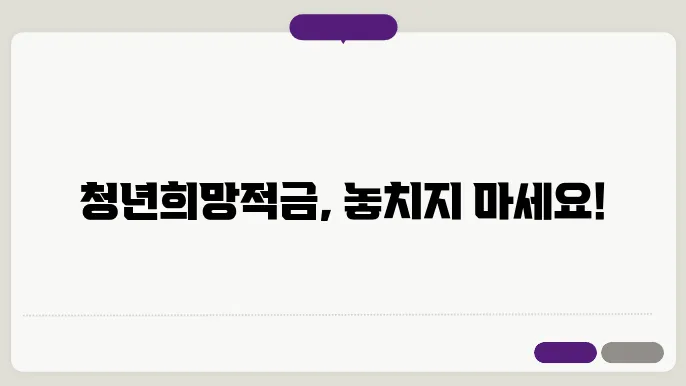 청년희망적금 총정리 2024 신청방법 자격 만기 금액 중도해지 기간