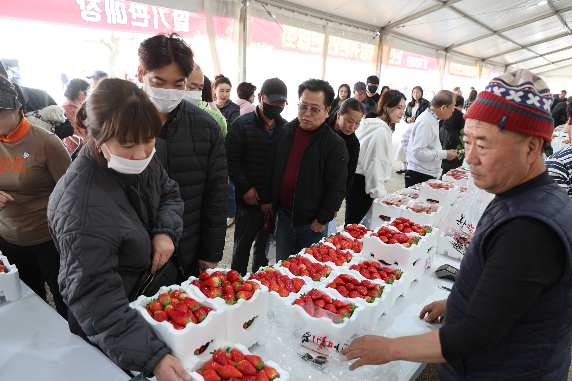 2025 논산딸기축제 : 일정, 체험, 가격, 볼거리, 주차까지 총정리!