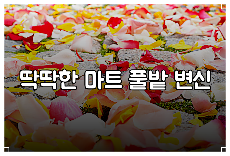 딱딱한 마트 풀밭 변신