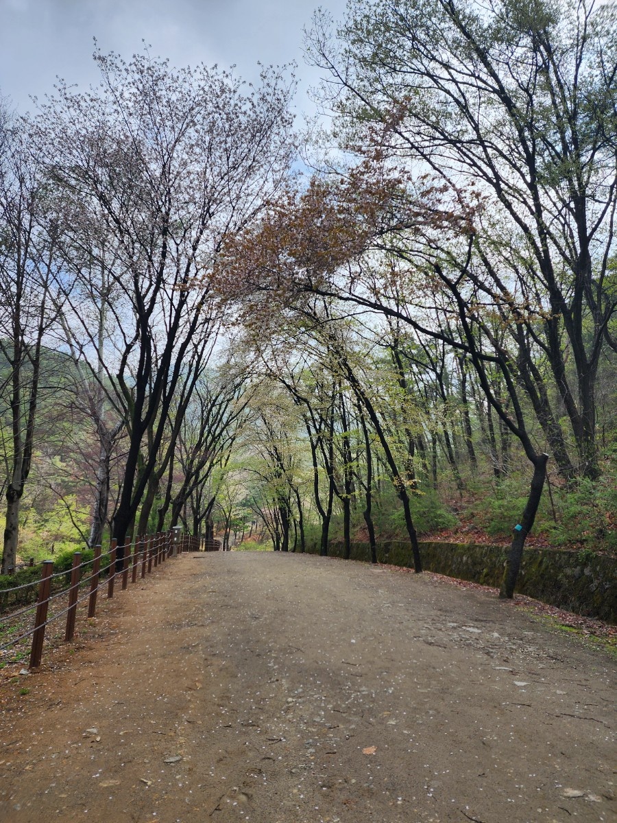 안양 수목원 이미지 사진