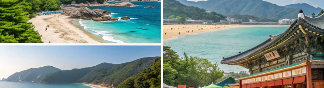 푸른 바다와 모래사장이 펼쳐진 광경