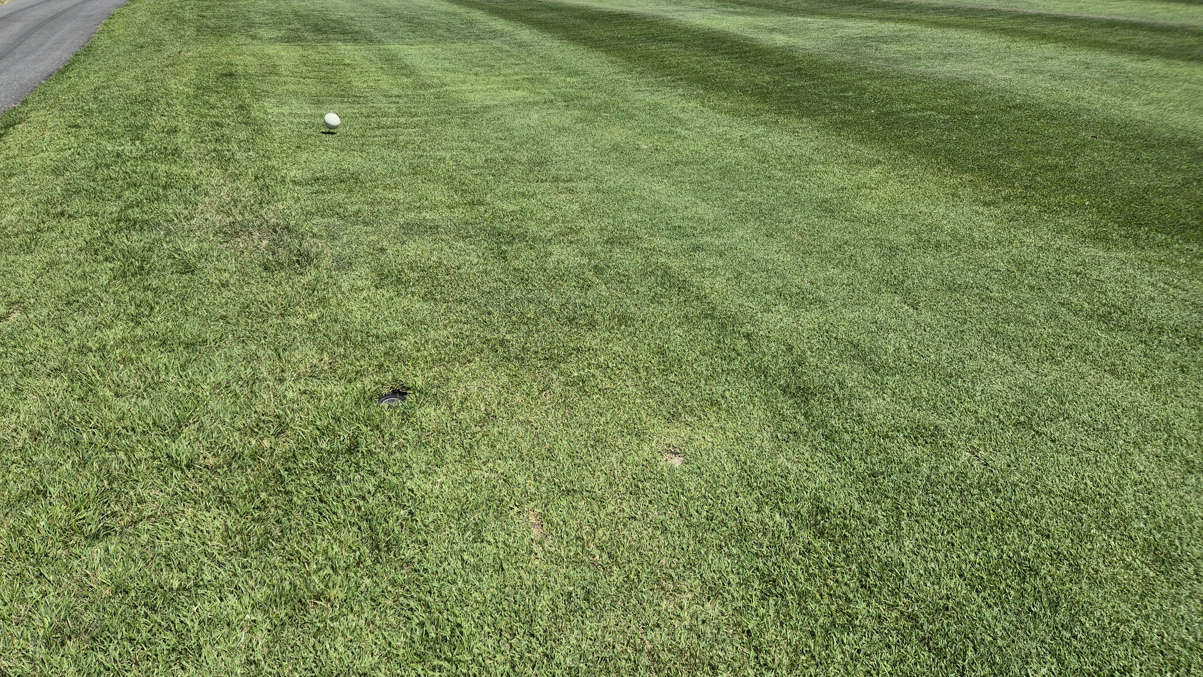 힐데스하임cc 밸리-레이크 코스 라운드 후기