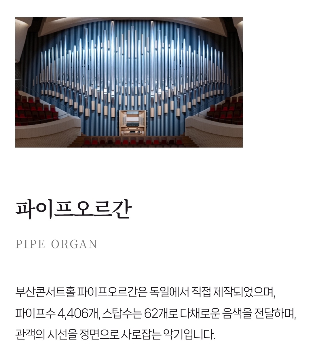 오르간 설명