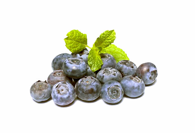 블루베리 효능 부작용 1분 요약