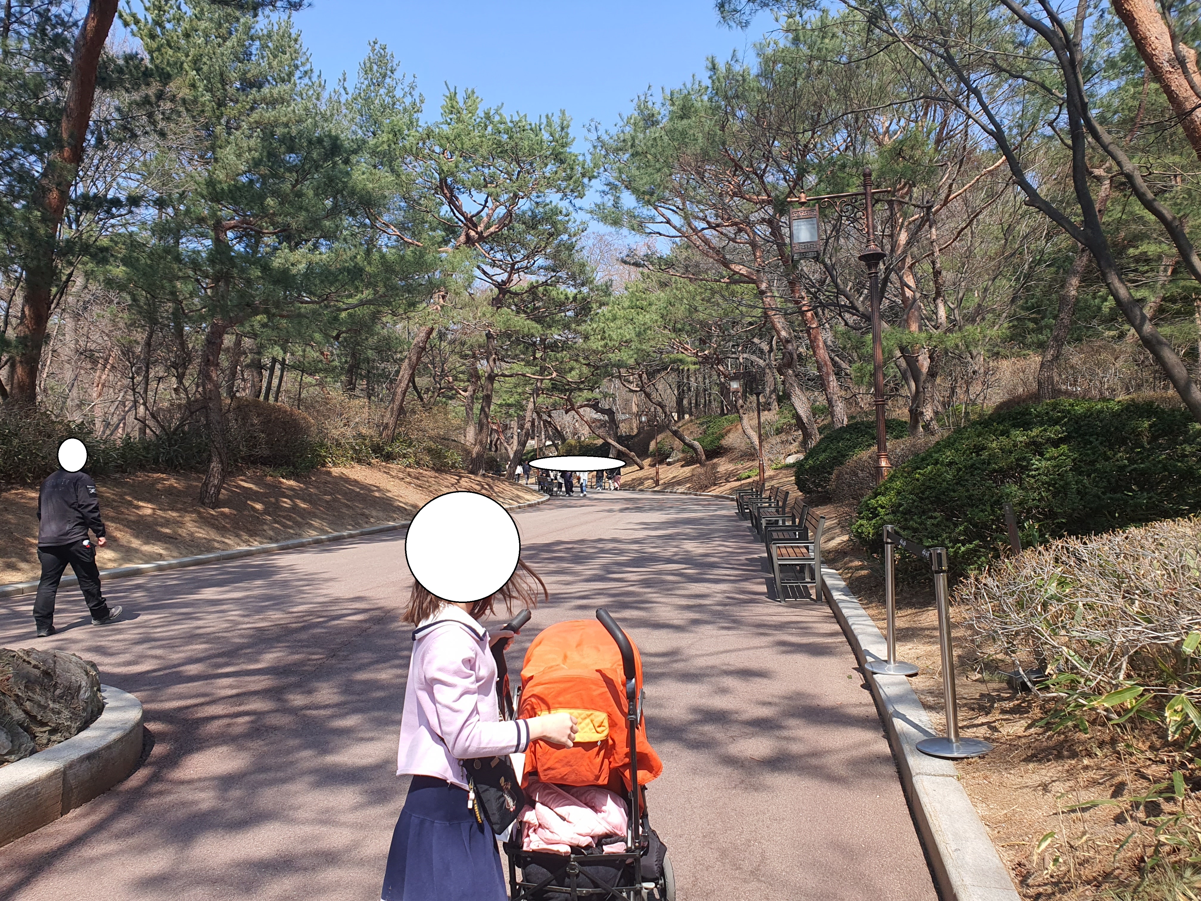 청와대