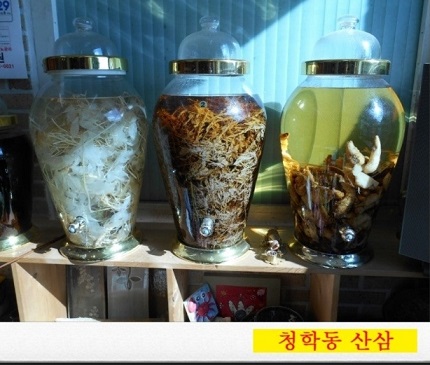 청학동-산삼마루-산삼주
