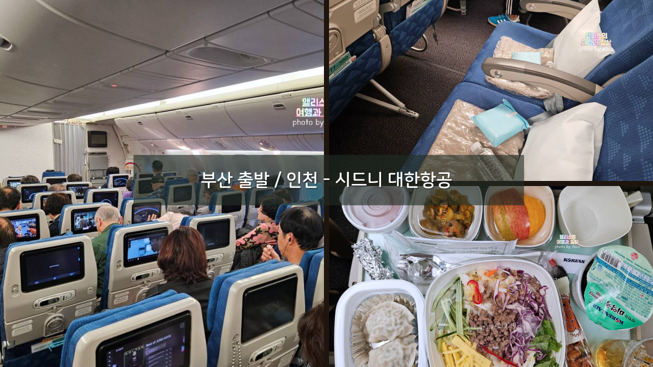 202403 부산 출발 내항기 / 인천 ICN - 시드니 SYD 대한항공 직항 후기