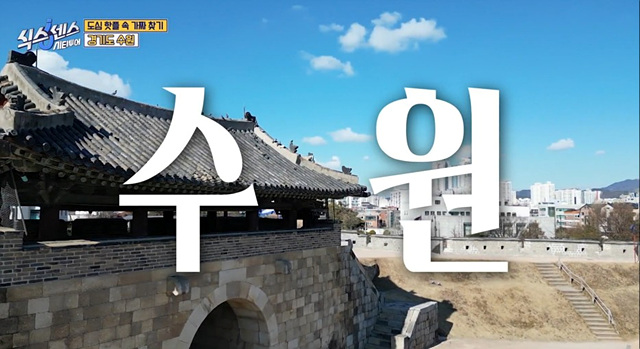 식스센스 수원 2회 맛집 정보 김치폭탄통닭 파르페 냉면꼬치 디믈리에 도토리캐리커쳐 여행