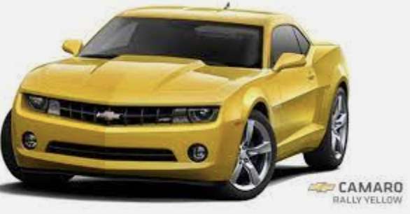 bumble bee