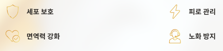 헛개나무 항산화