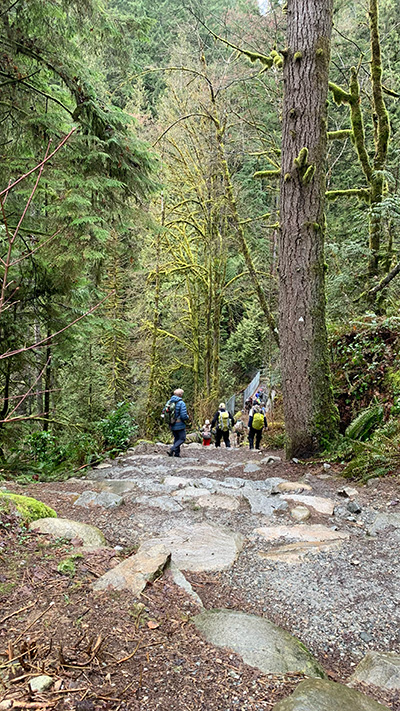 울창한 나무가 있는 산책로
