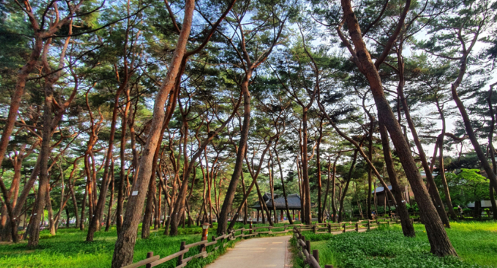 서울 가볼만한곳 베스트10