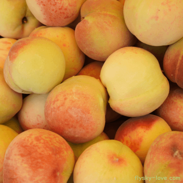 복숭아 고르는 법