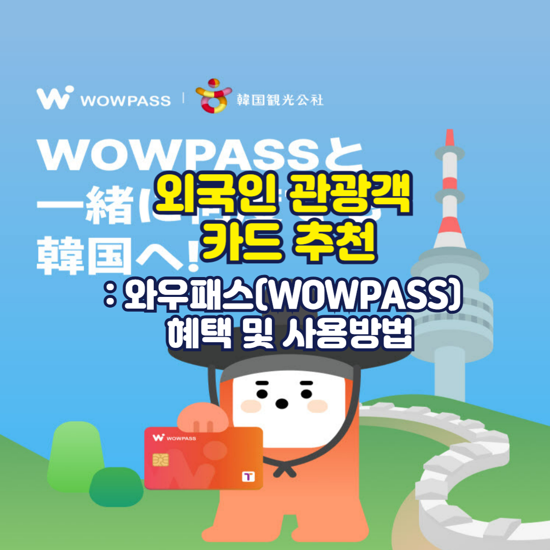 외국인 관광객 카드