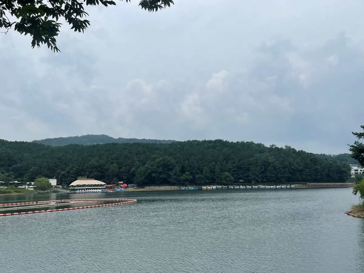 포천-국립수목원-근처-데크길에서-산책하기-좋은-고모리호수공원,-고모저수지