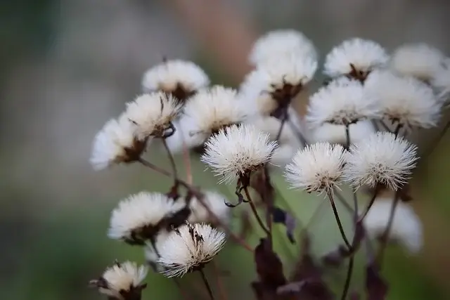국비 교육으로 시작 가능한 프리랜서 직종