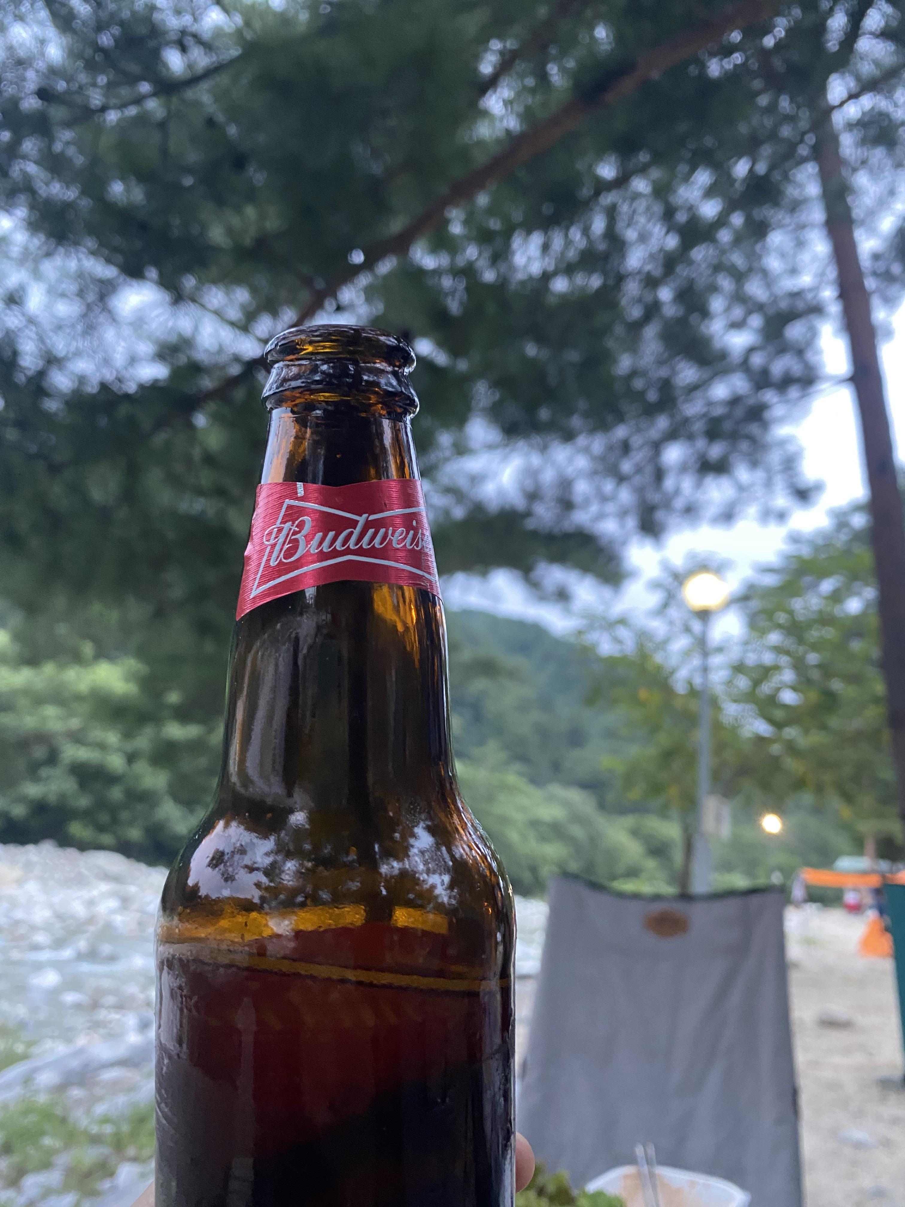 버드와이저와-캠핑
