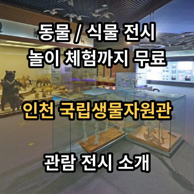 인천-무료-실내박물관-국립생물자원관-입니다