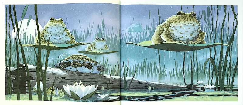 데이비드 위즈너-이상한 화요일-개구리들이 날다