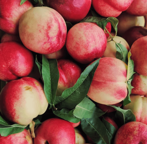 복숭아, 건강하게 즐기는 팁