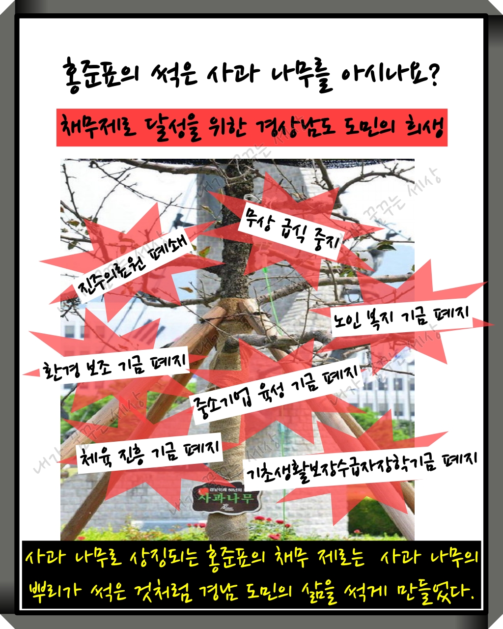 홍준표의 사과 나무를 아시나요?