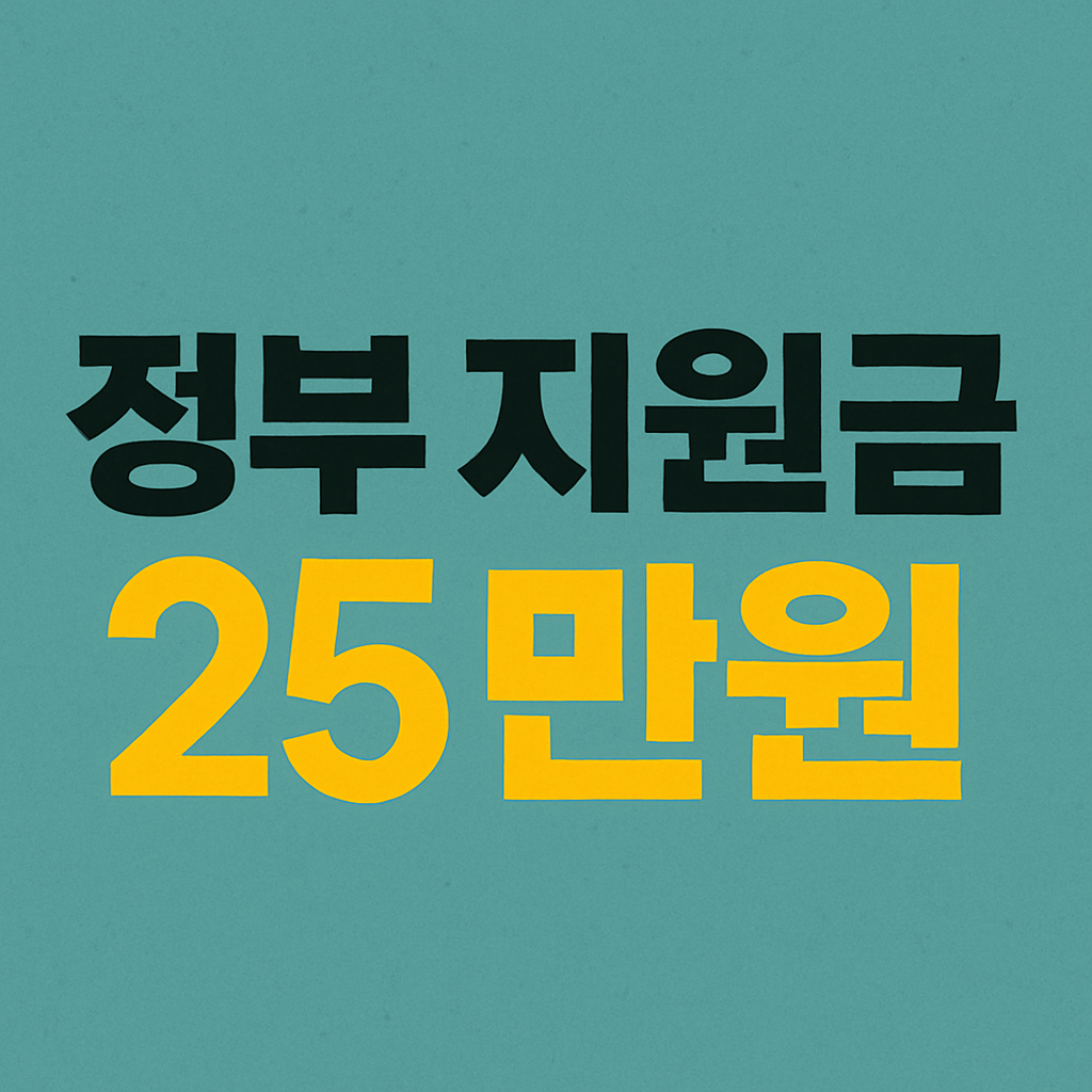정부 지원금 25만원